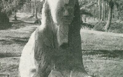 „UTAZÁS A NAPSUGÁR FELÉ”