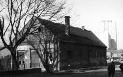 A HÁZ ÉS GÉNIUSZA